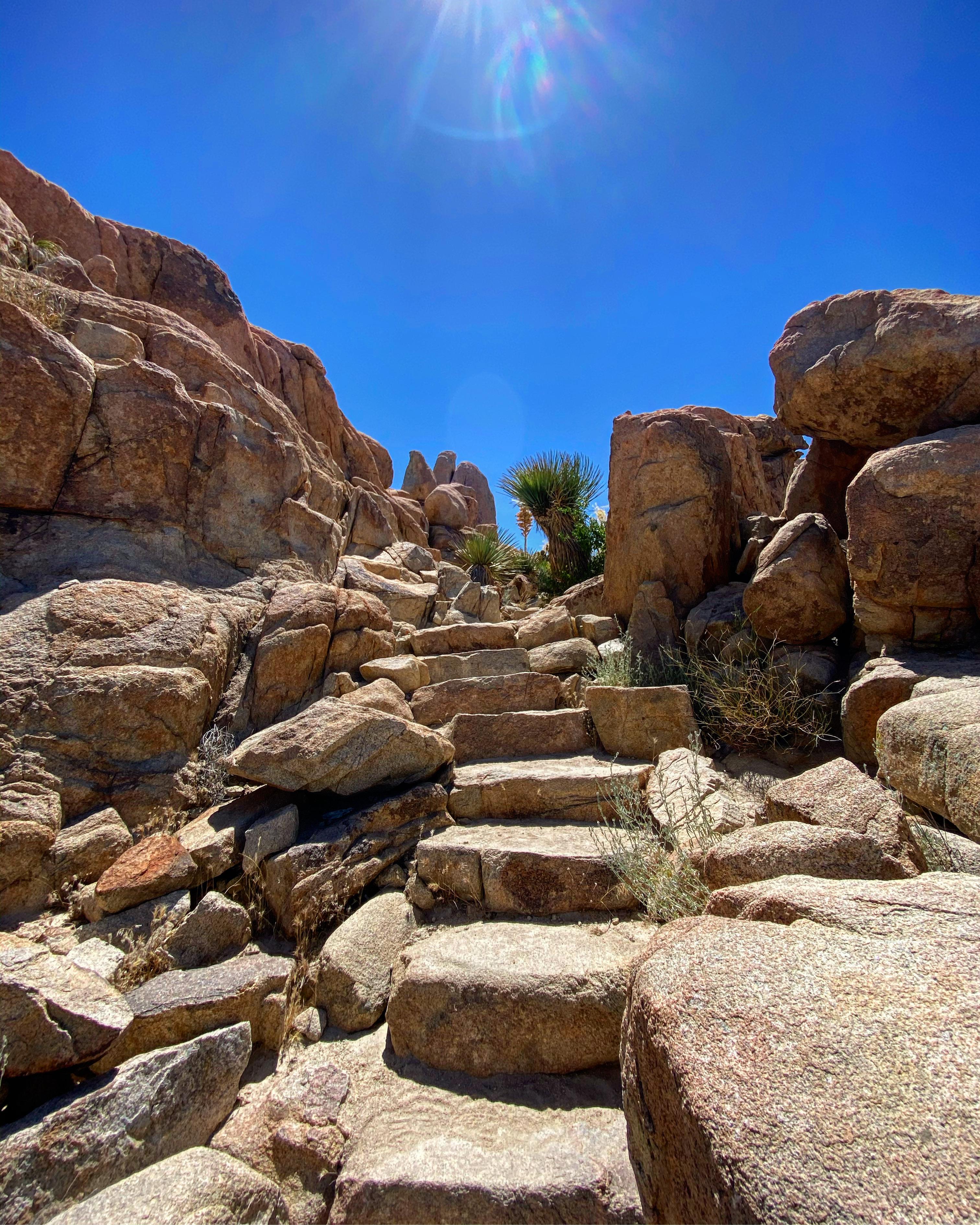 The Real Hidden Valley Joshua Tree High Res Stock Photo Getty Images
