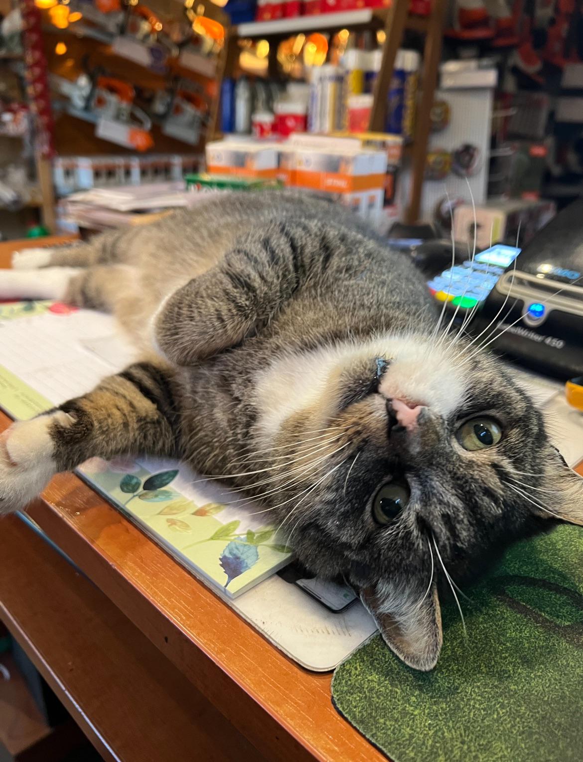 Czym się zawodowo zajmujecie? : rPolska