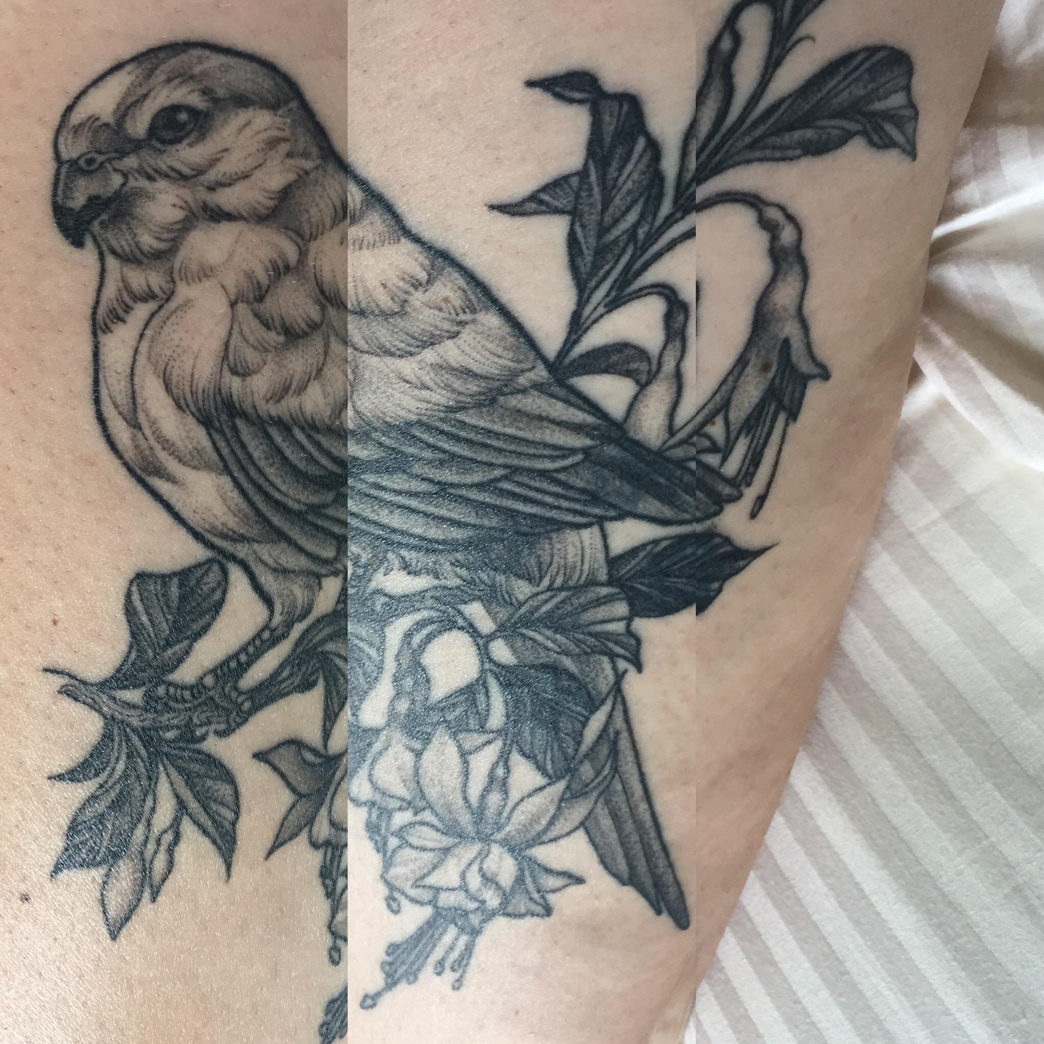Cover Up My Kakariki And Nz Fuchsia By Cass At Scared Tattoo Auckland Tattoos