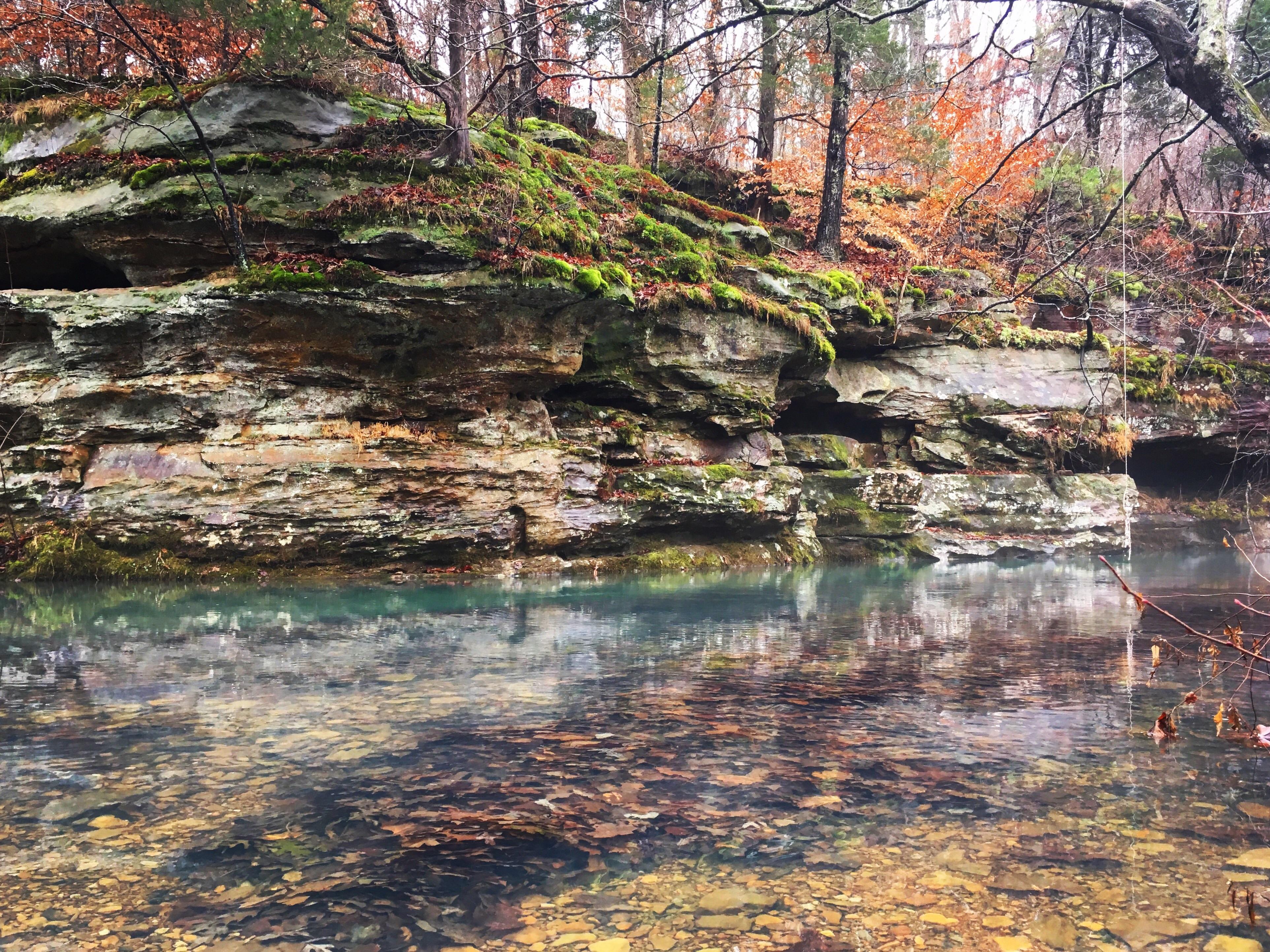 The cabins adjoin approximately 800 acres of the shawnee national forest . Shawnee National Forest, Illinois. (OC) 1136x640 : EarthPorn