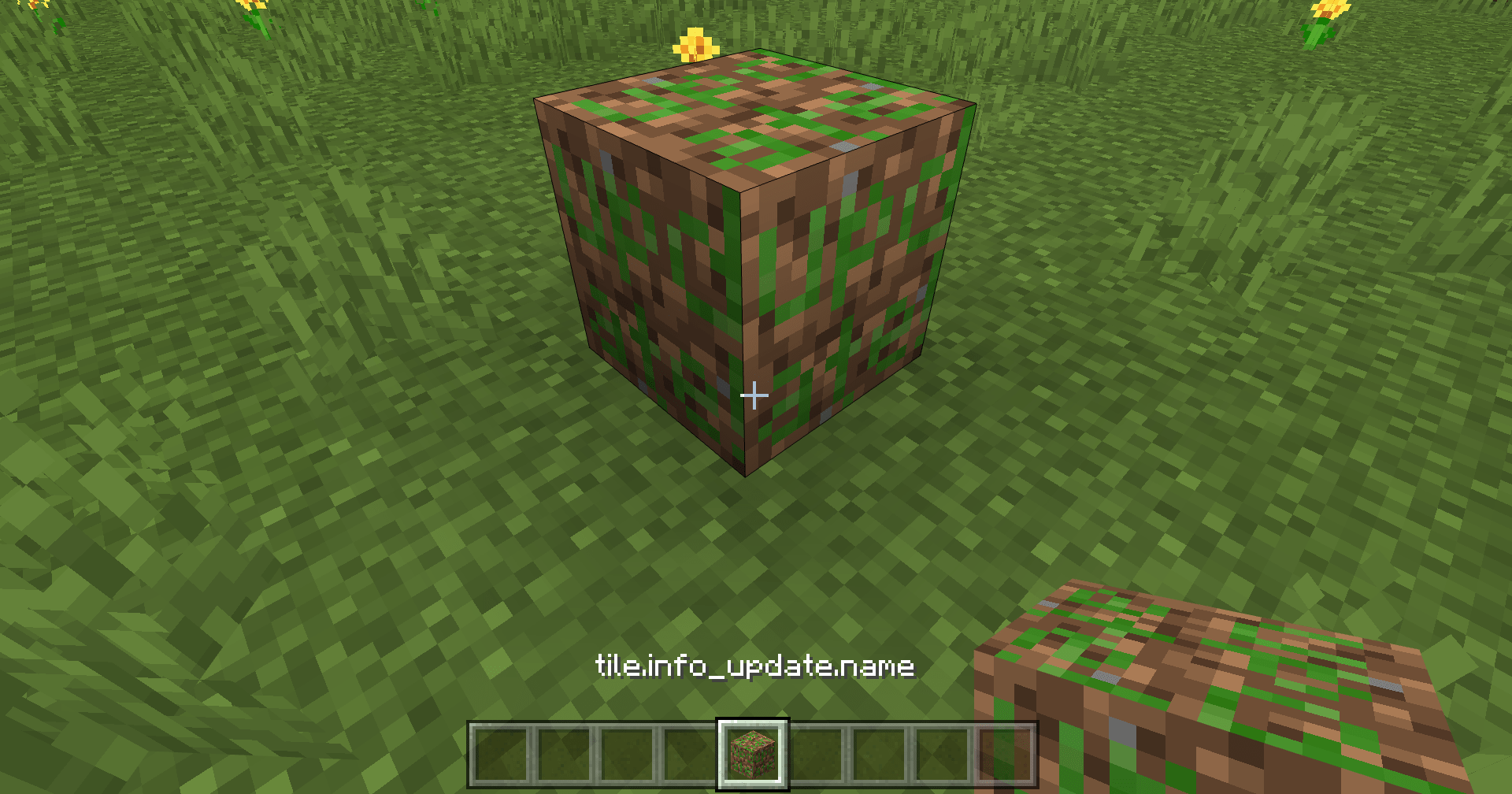 So I Found This Dirt Block In My Minecraft World With The Letters Update Called Tile Info Update Name Does Anybody Know What This Is Minecraft