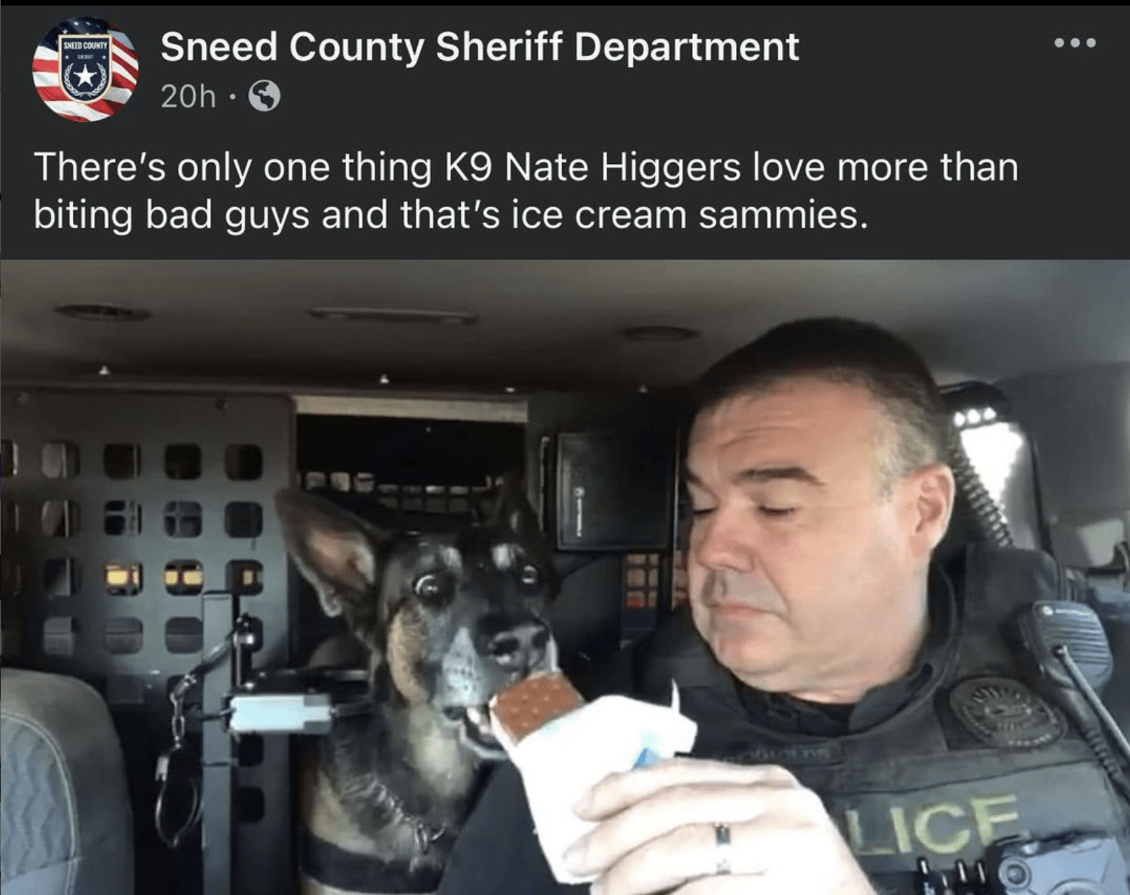 K9 rule : r196
