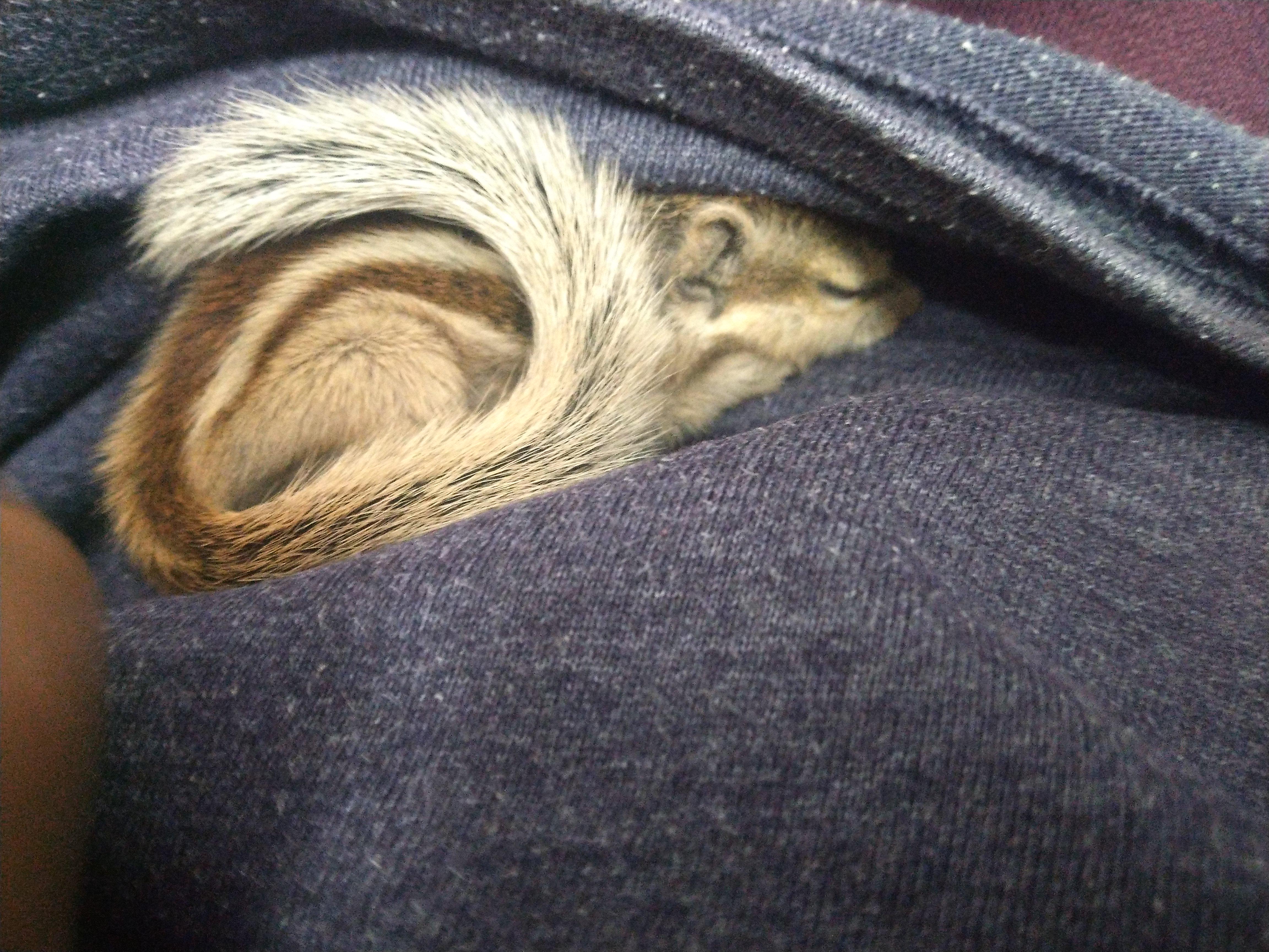 What was the last thing you did , for which you were genuinely happy? Or  the last thing which you genuinely enjoyed ? : rJEENEETards