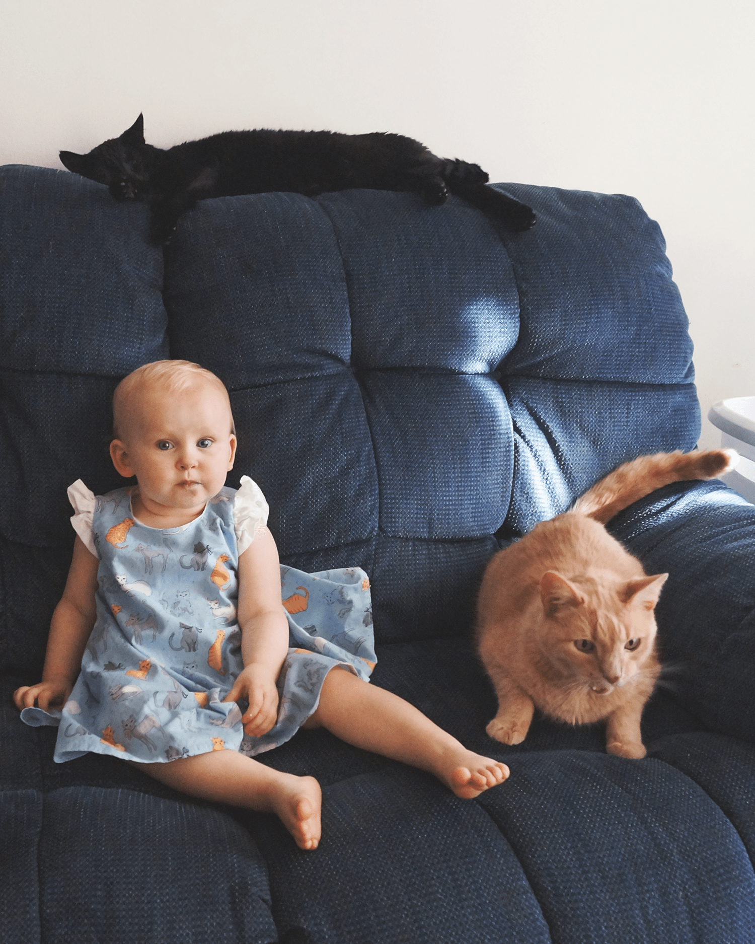 I Made A Kitty Dress For My Cat Obsessed Toddler Butterick 6047 Sewing