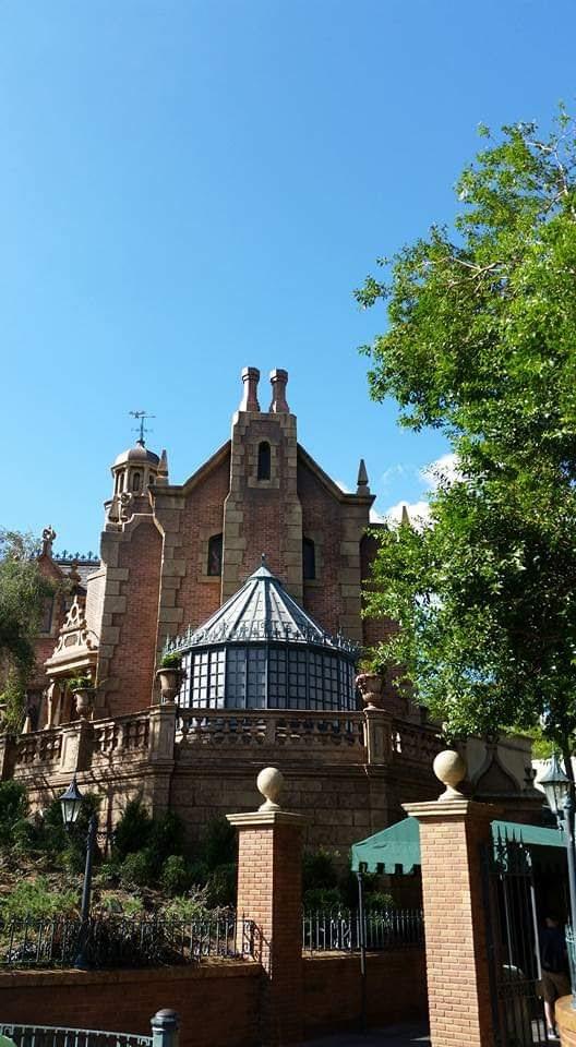 My Dream House Waltdisneyworld