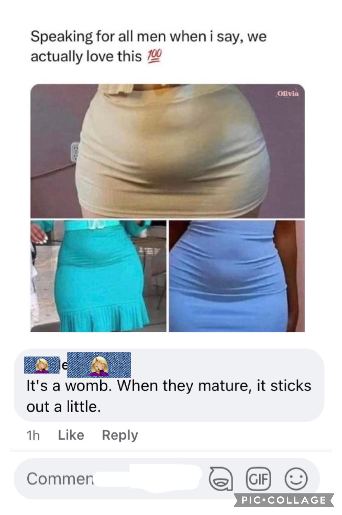 This. Is. Not. A. Uterus. : rbadwomensanatomy