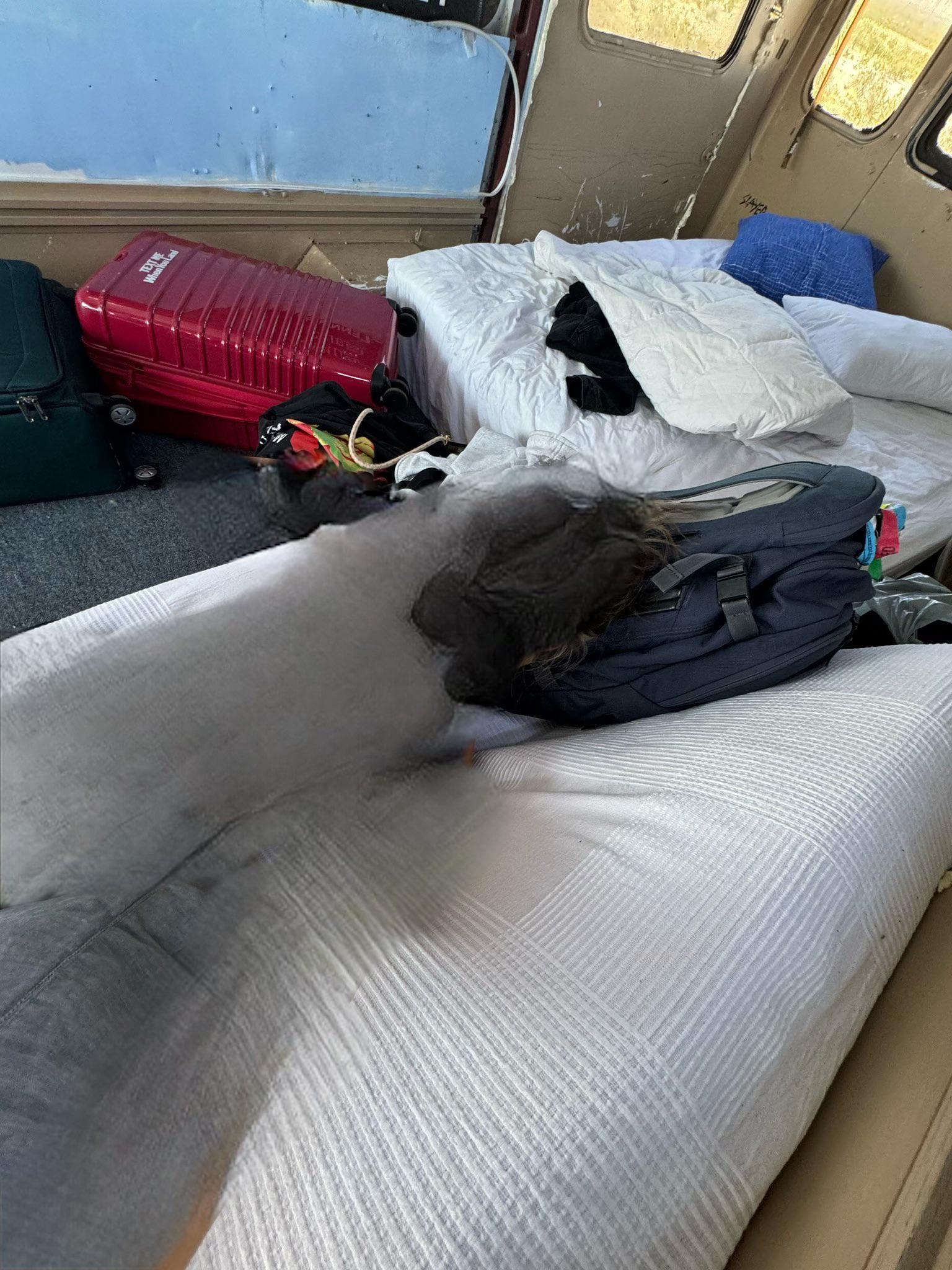 Anna Jay shares a photo of the back of the SCAPEGOAT bus : rSquaredCircle