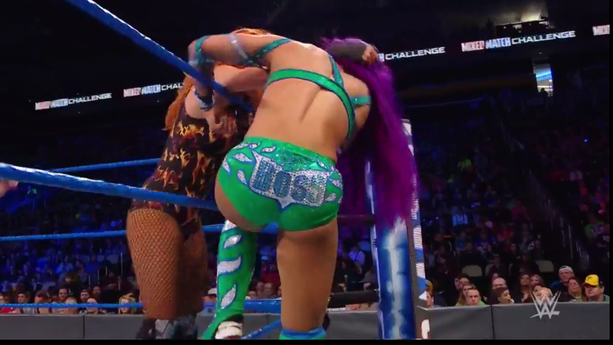 Sasha Banks Pussy