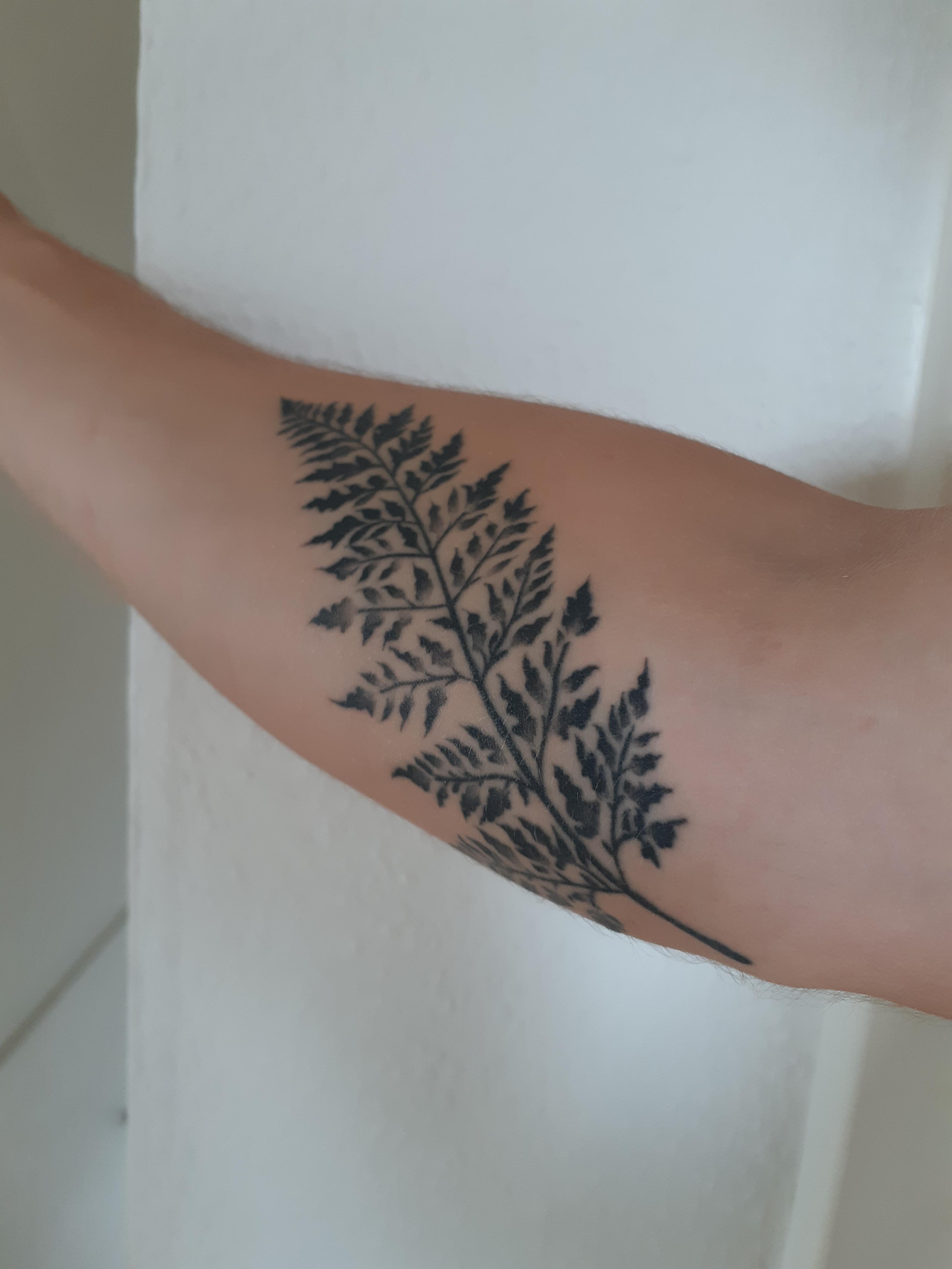 My First Fern And Tattoo Done By Zealand Tattoo Queenstown Nz Tattoos