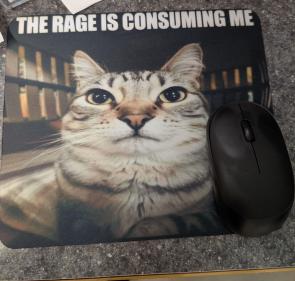 I asked my boss for a new mousepad