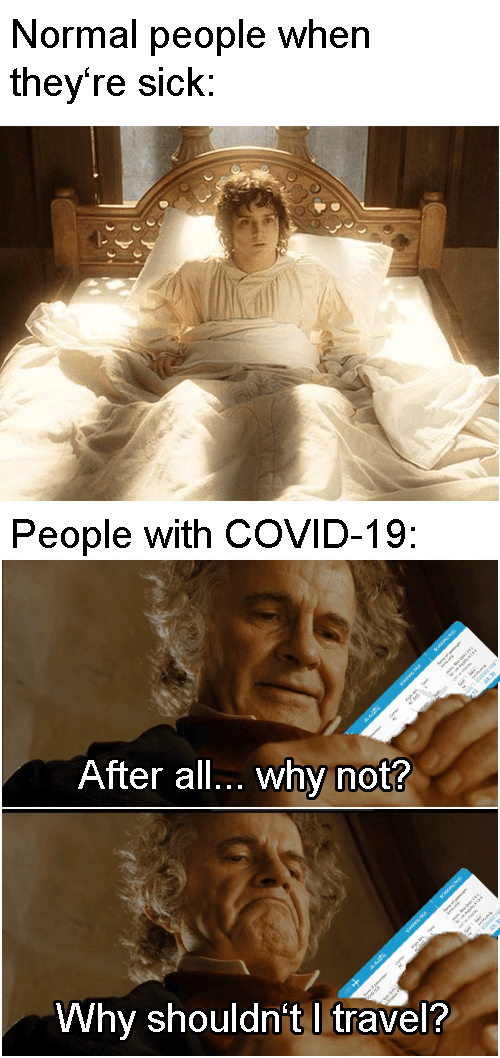 Lithuanian shares a glimpse of life without a covid passport in his homeland: Flu calls for aid! And COVID-19 will answer : lotrmemes
