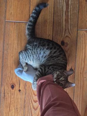 Nooo! Don’t go to work!!