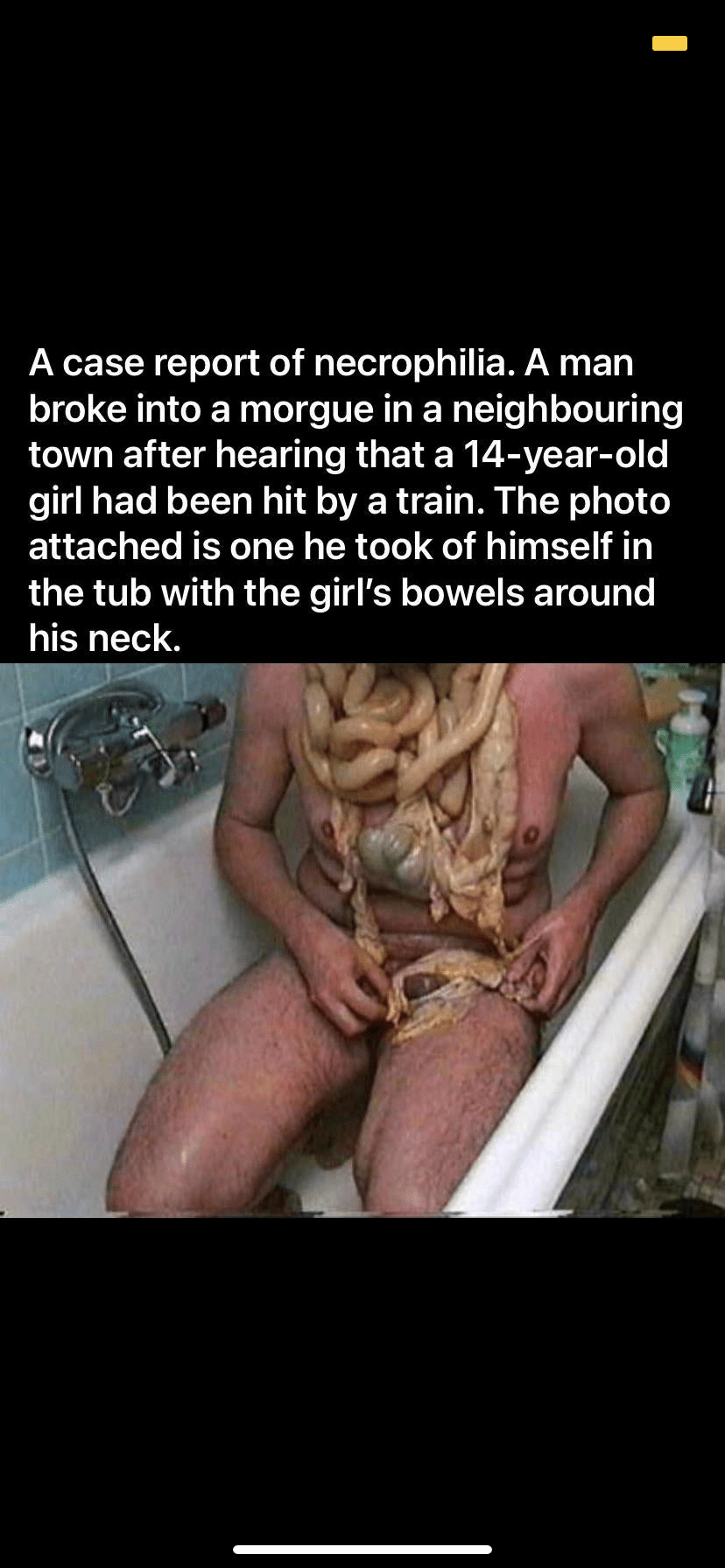 Noah, its time. : rNoahGetTheBoat