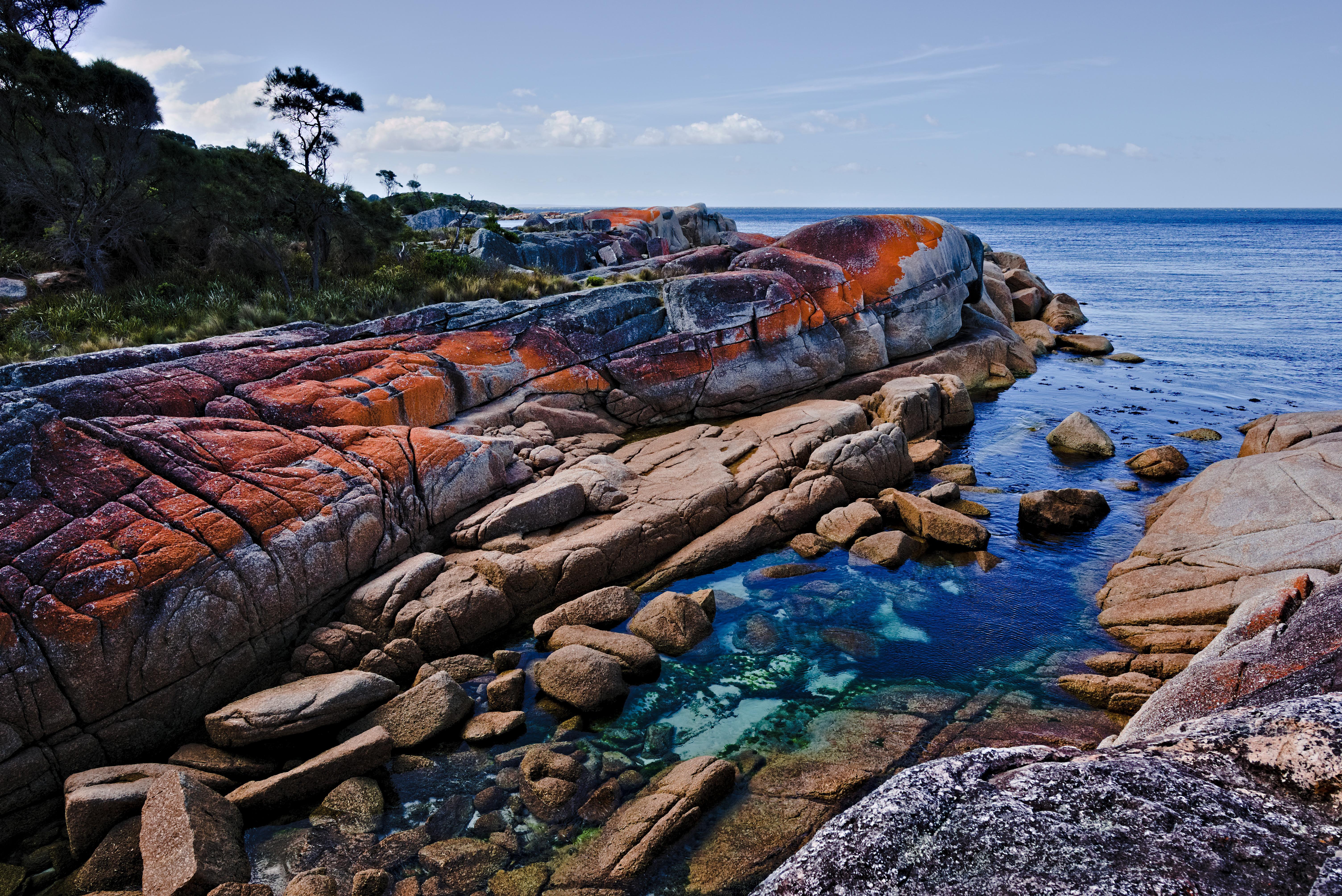Bay of fires, tasmania love the contrast between the crimson rocks