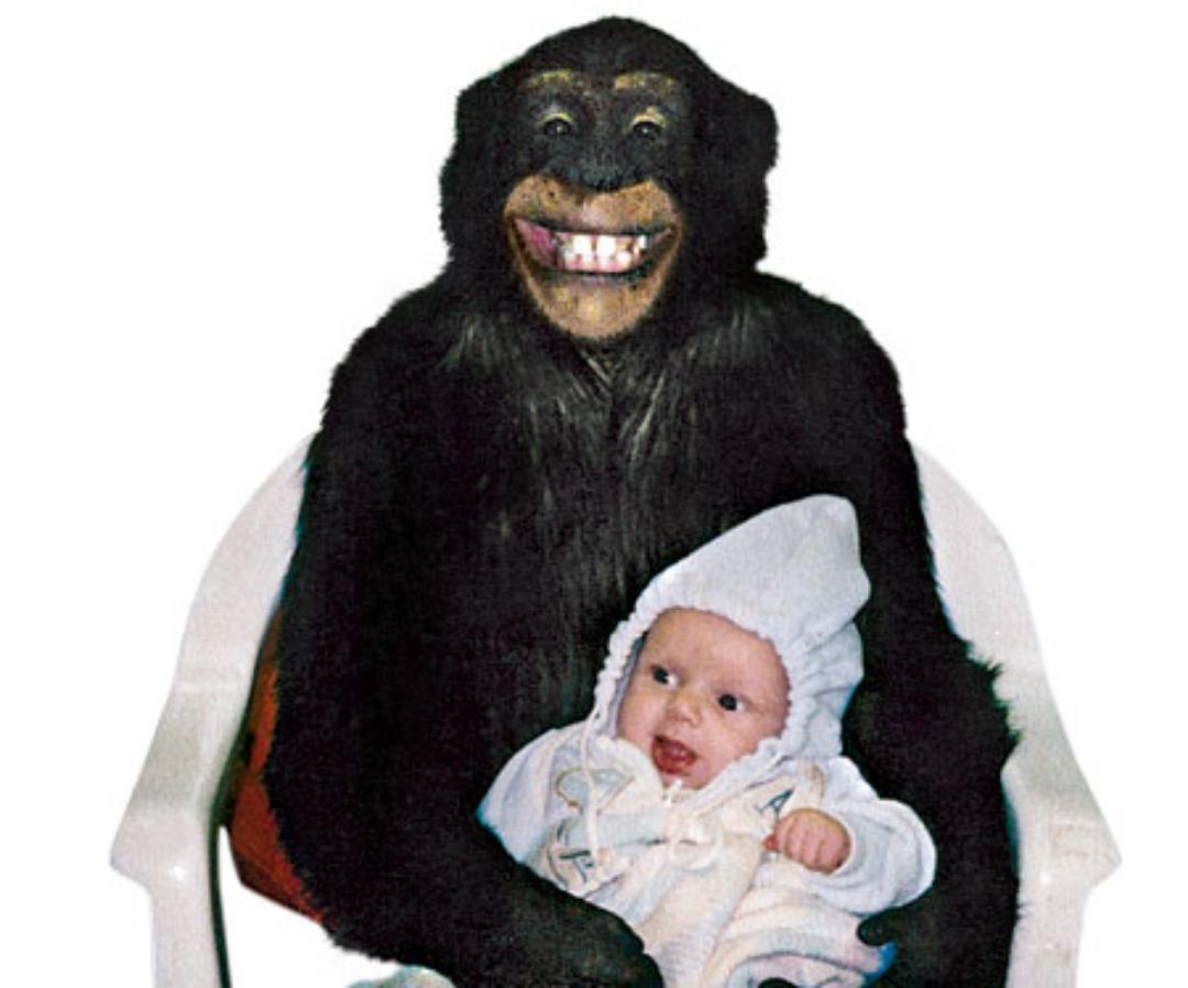 Travis the chimp crime scene photos