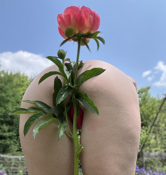 exoticarches