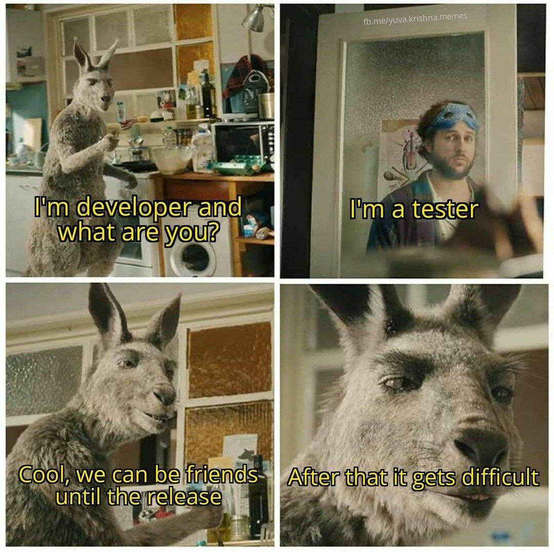 strongFriendship : rProgrammerHumor