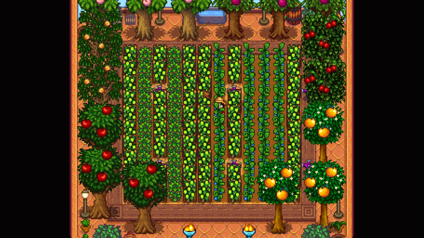 Stardew valley ферма. Мистер ки stardew valley арты. Stardew valley теплица деревья. Stardew valley пасека. Теплица stardew valley расстановка.