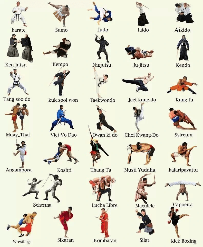 Martial arts