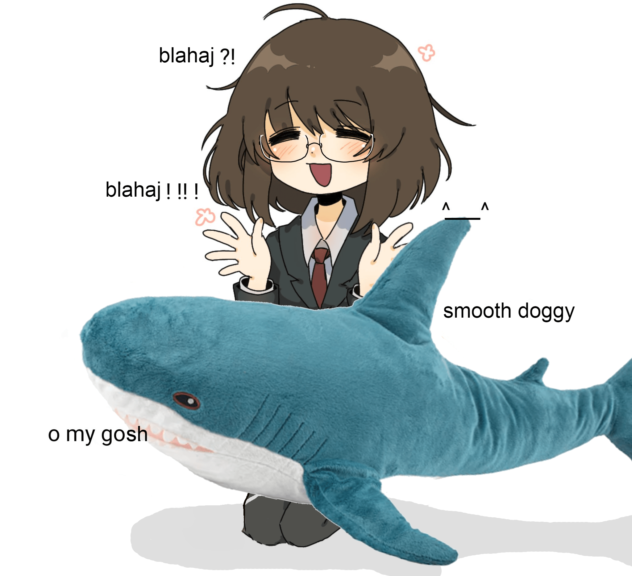 my beloved... : r/BLAHAJ.