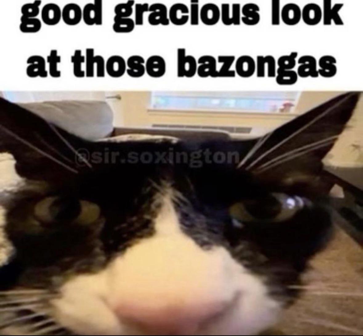 Is This Accurate? (Re:Zero) : rAnimemes