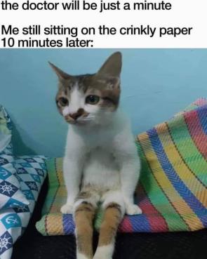 meirl