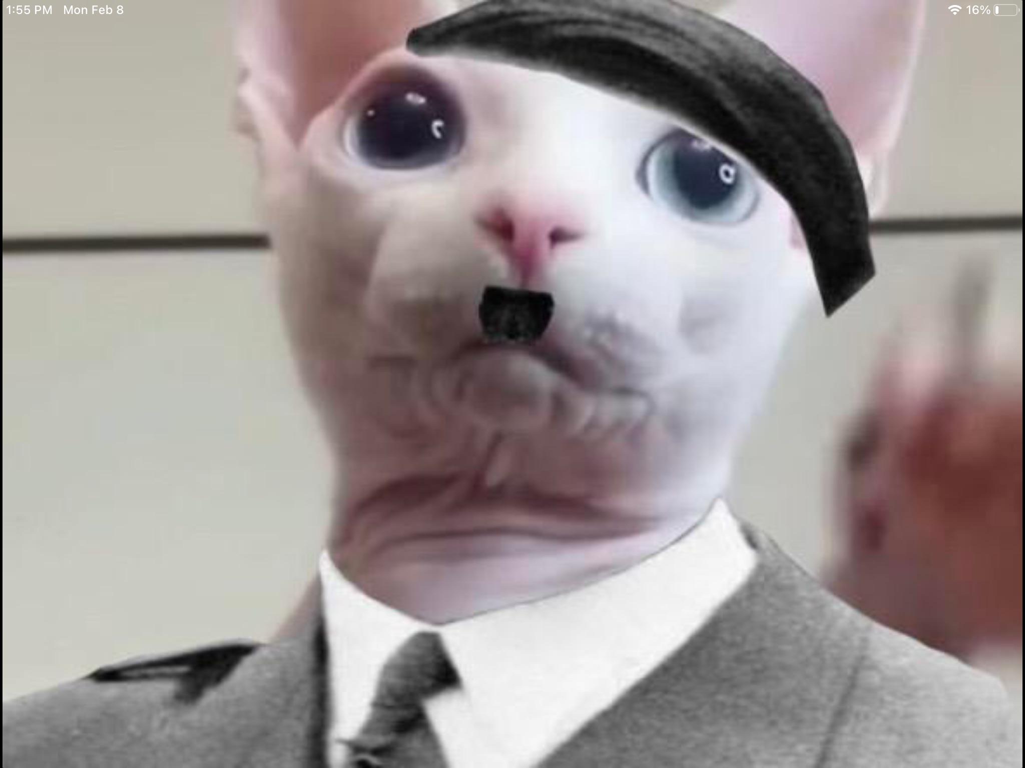 R/bingus mods be like