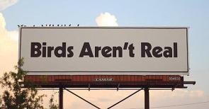 Billboard «Birds Aren’t Real» in Memphis, 2019