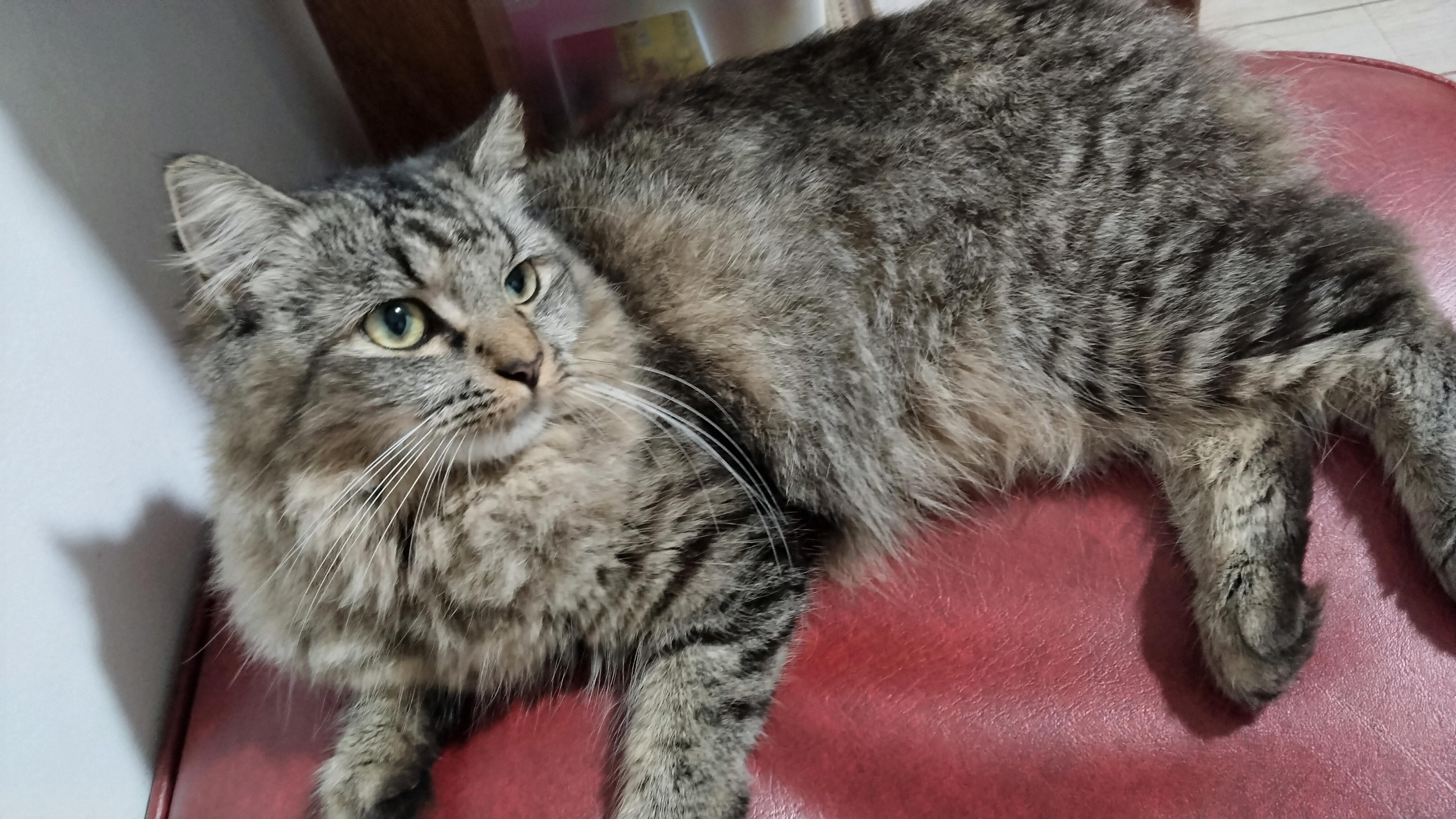 nana-chan~ (uninanana_osamu) - Reddit