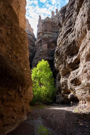 Hell Hole Canyon, Arizona [6336×9504][OC]