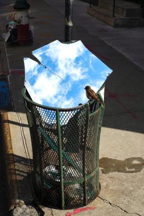 A bin in the street