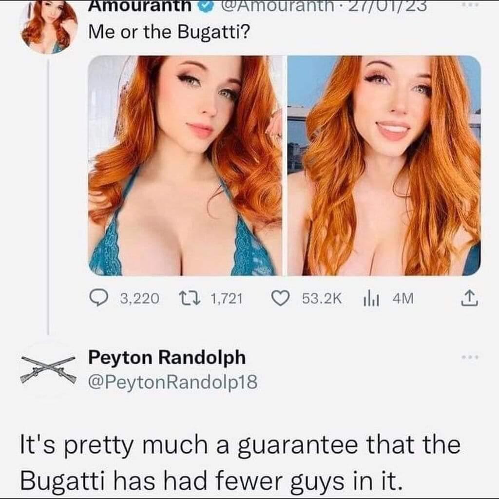 probably true, not sure which would be more fun to ride though :  rrareinsults