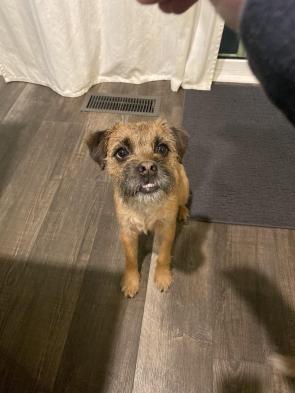 Stewies teef are NEVER contained
