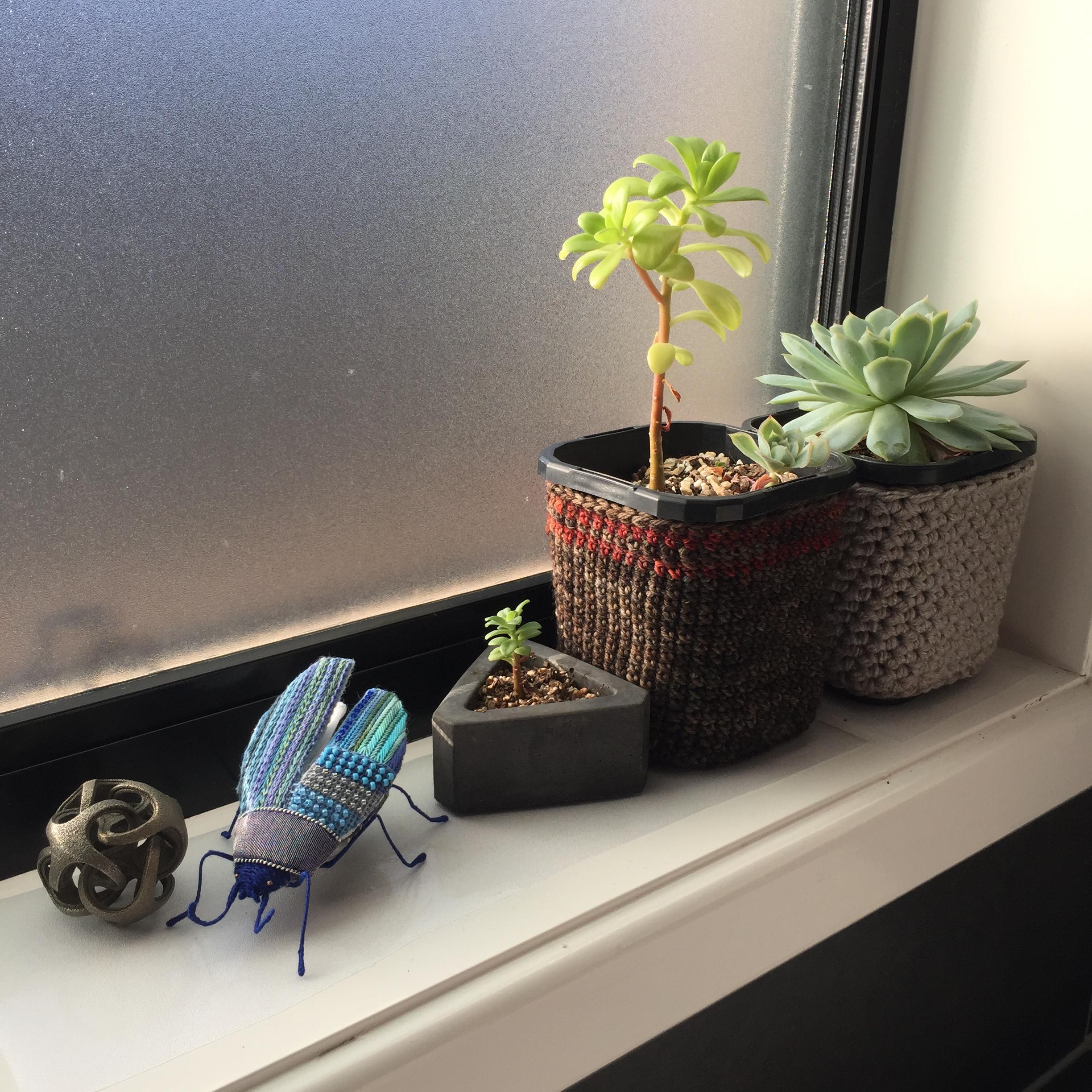 Getting the plant to grow evenly though, once it's already started to bend, is trickier w. I Ve Been Crocheting Little Sleeves For My Ugly Plastic Plant Pots So Pleased With Them D Crochet