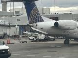 388 Best Winglet Images On Pholder Wings Of Fire Aviation And Tf2