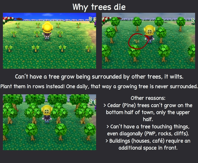 How To Plant Trees Grow Fruit Properly In Animal Crossing New Leaf Nintendo 3ds