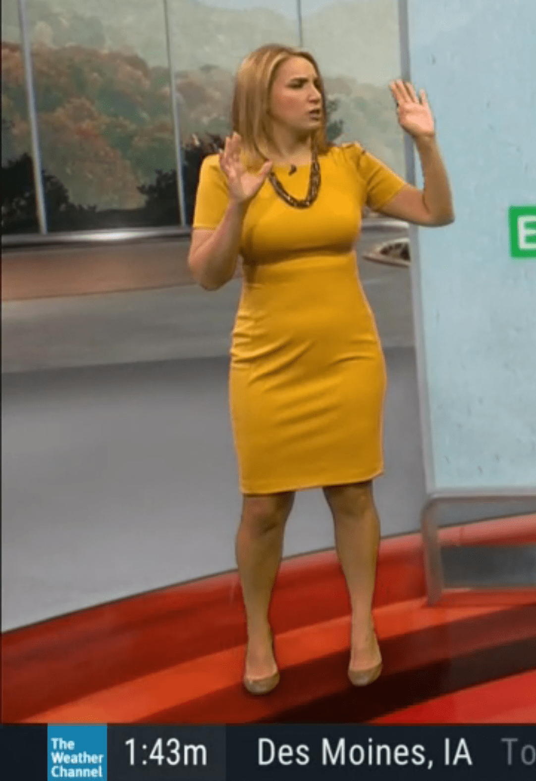Alex Wilson, The Weather Channel, 112921 : rCurvyNewsWomen