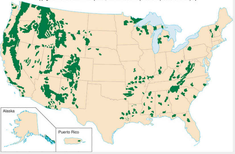United States National Forest Maps US Forest Service 