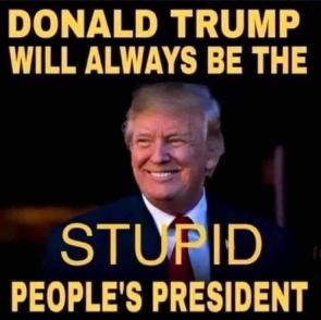 Seriously, Magasses