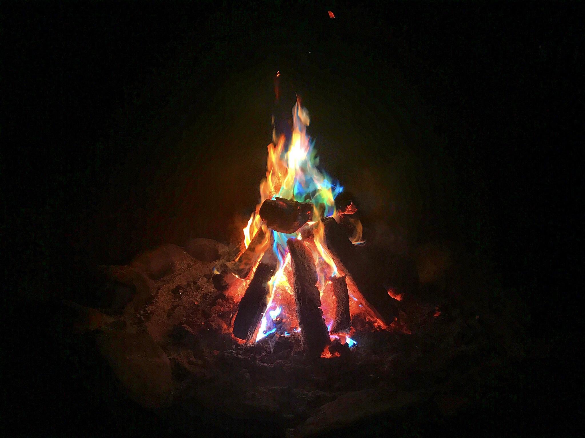 How To Make A Pine Cone Fire Starter