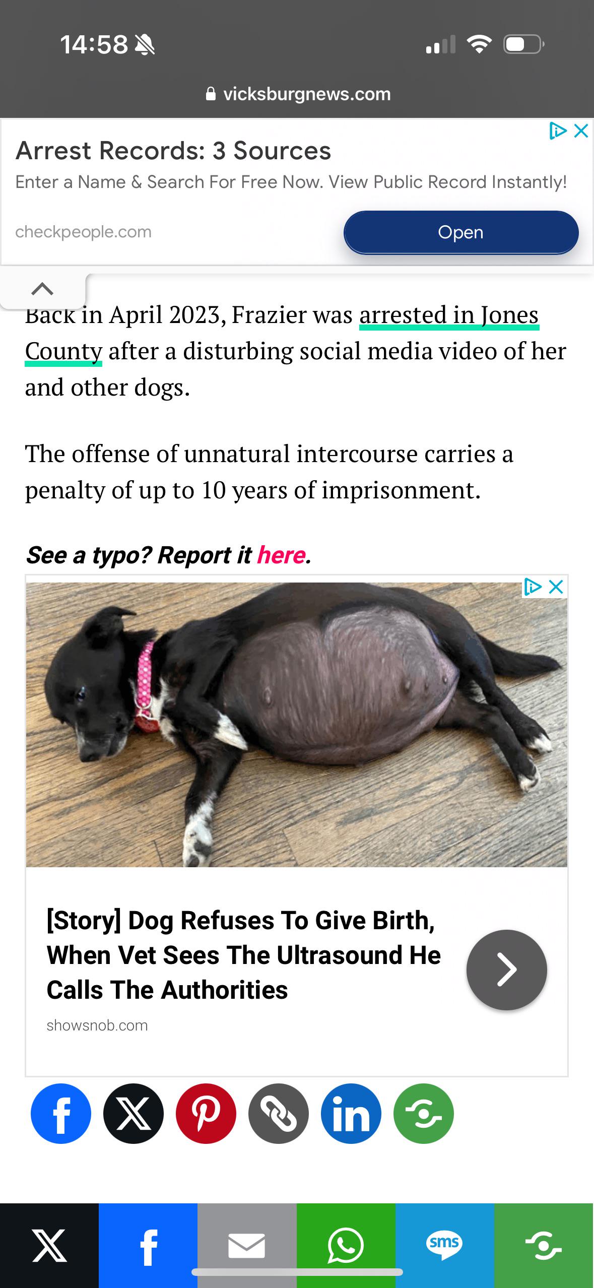 Losercity beastiality : rLosercity