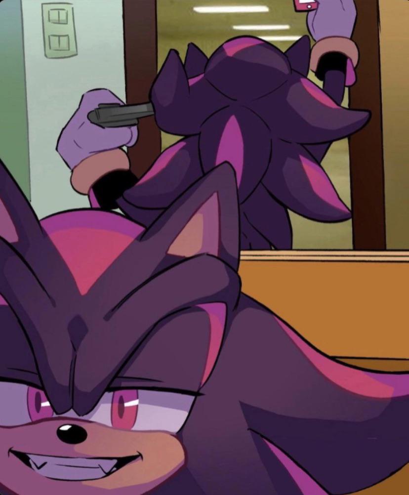 Pretend like SonAmy officially became canon in the comments : rMoonPissing