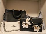 Coach Daisy Box Bag R Handbags