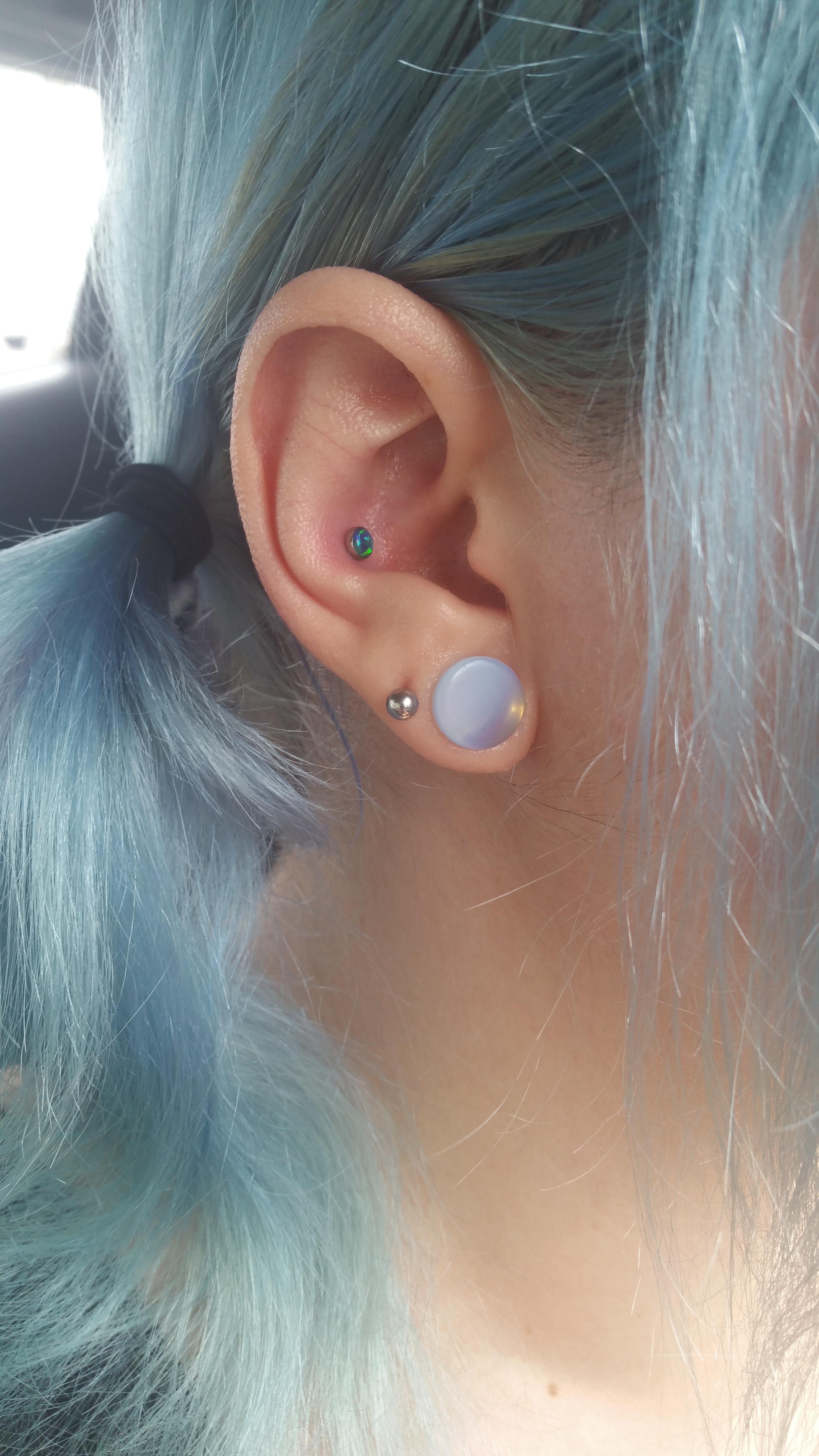 My New Conch Piercing Done By Leo At Dungeon Tattoo In Orlando Fl Piercing