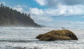Roaring Mists (OC) [6192×3645] Olympic Peninsula, WA