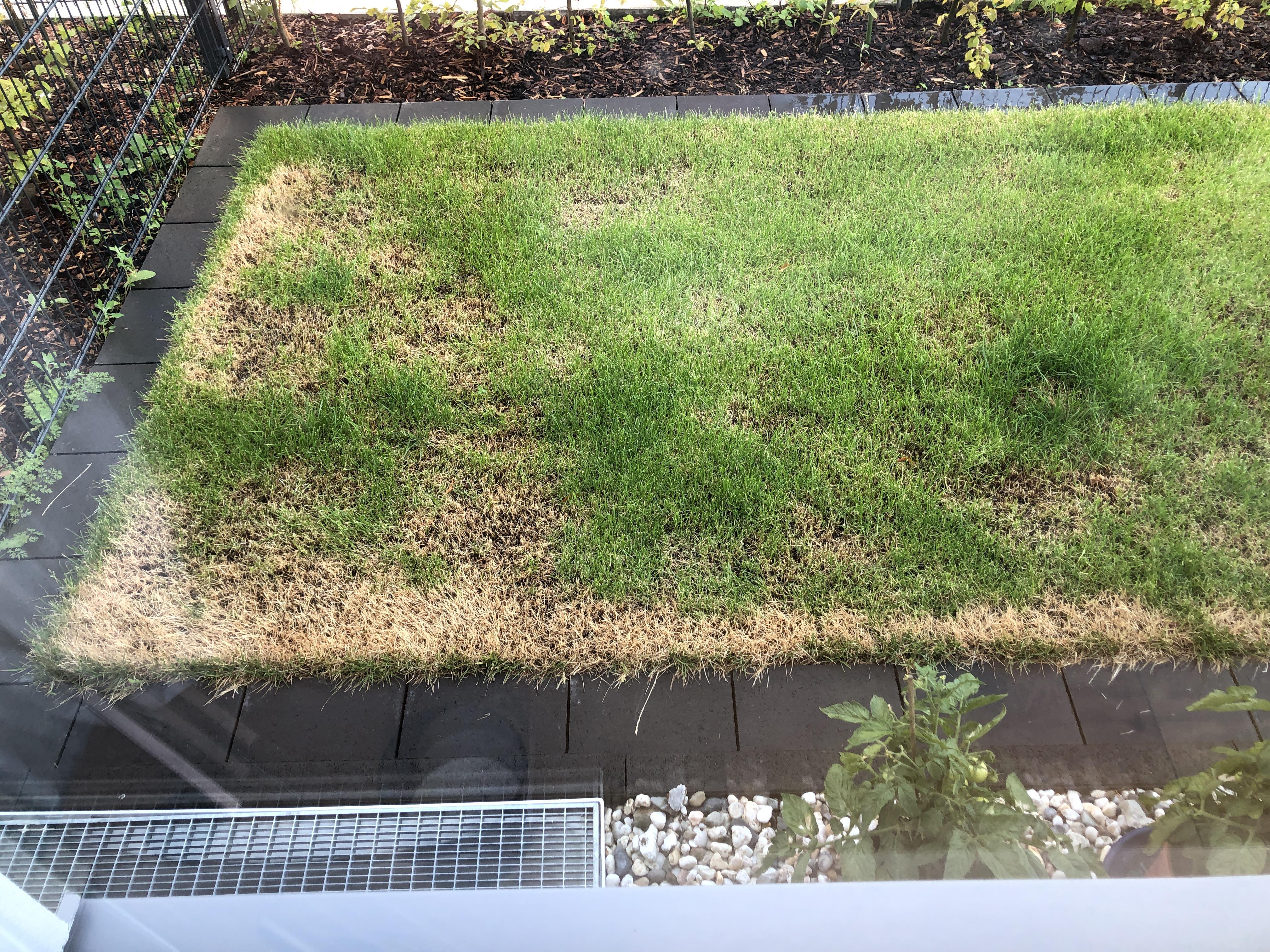 Hilfe Im Garten Und Haus M W D Bei Von Privat 56086 Jobs Azonline De