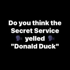 Donald duck