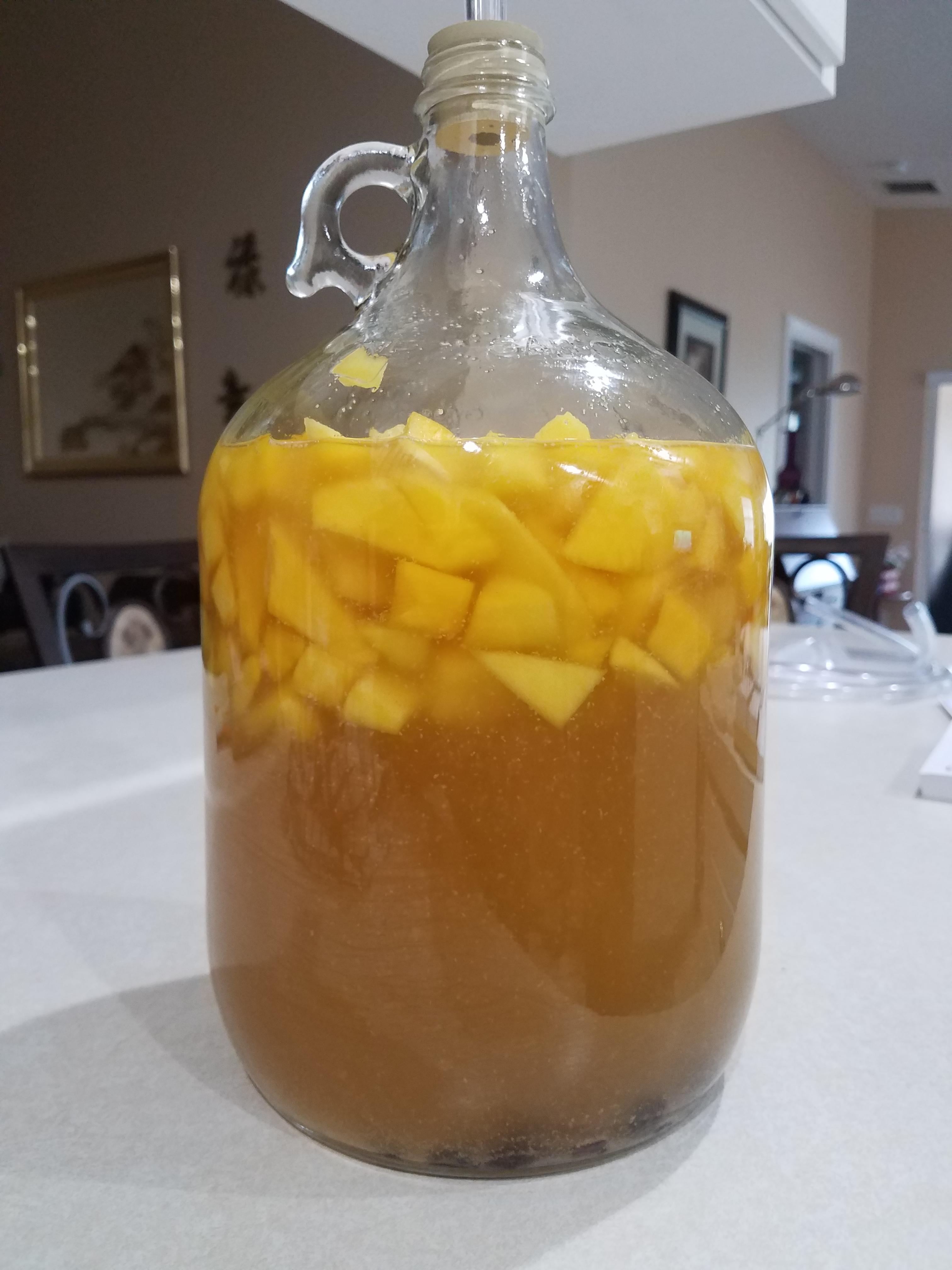 picture Mango Wine Recipe 1 Gallon reddit