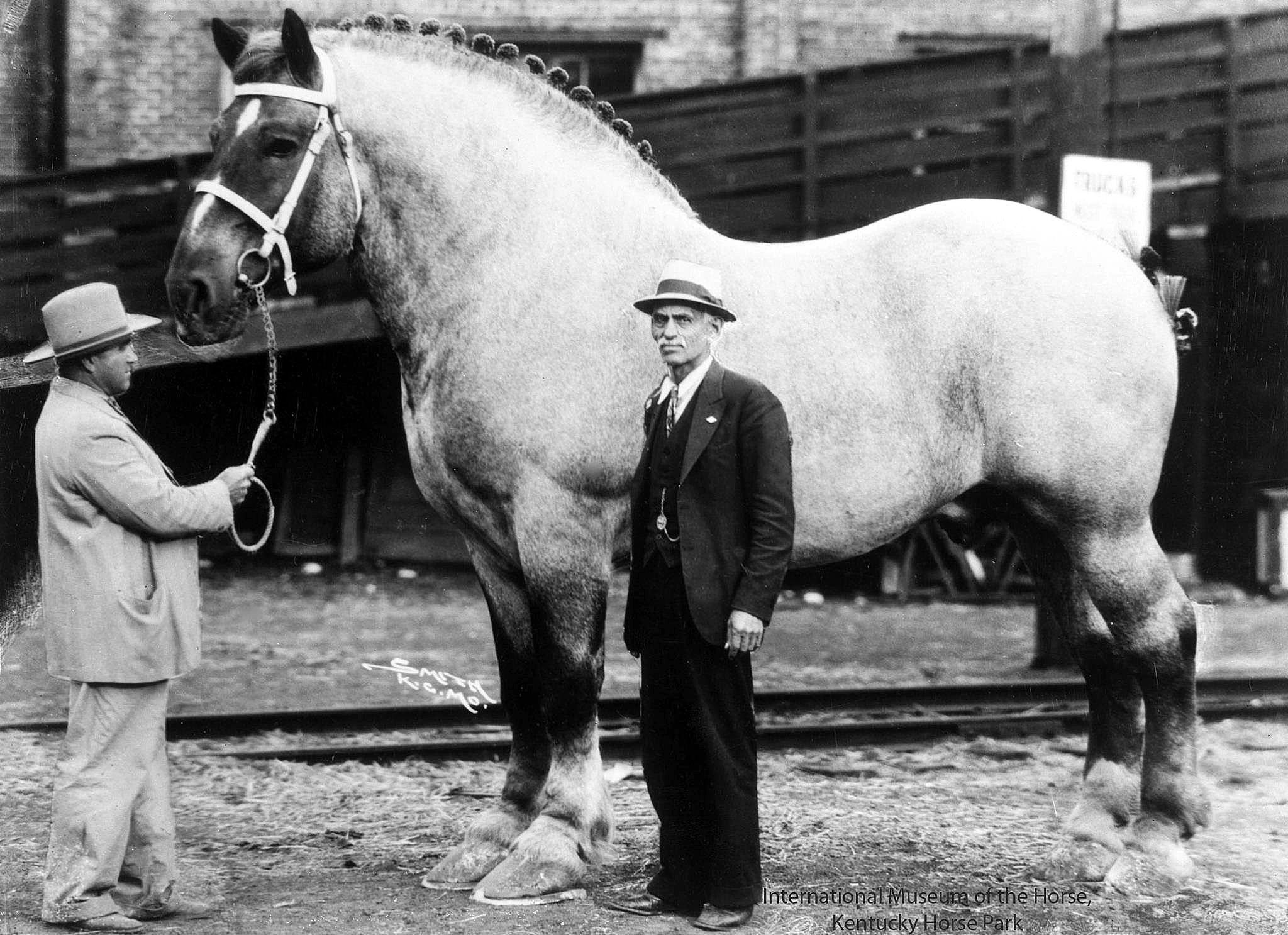 Fukureruba Big Horse