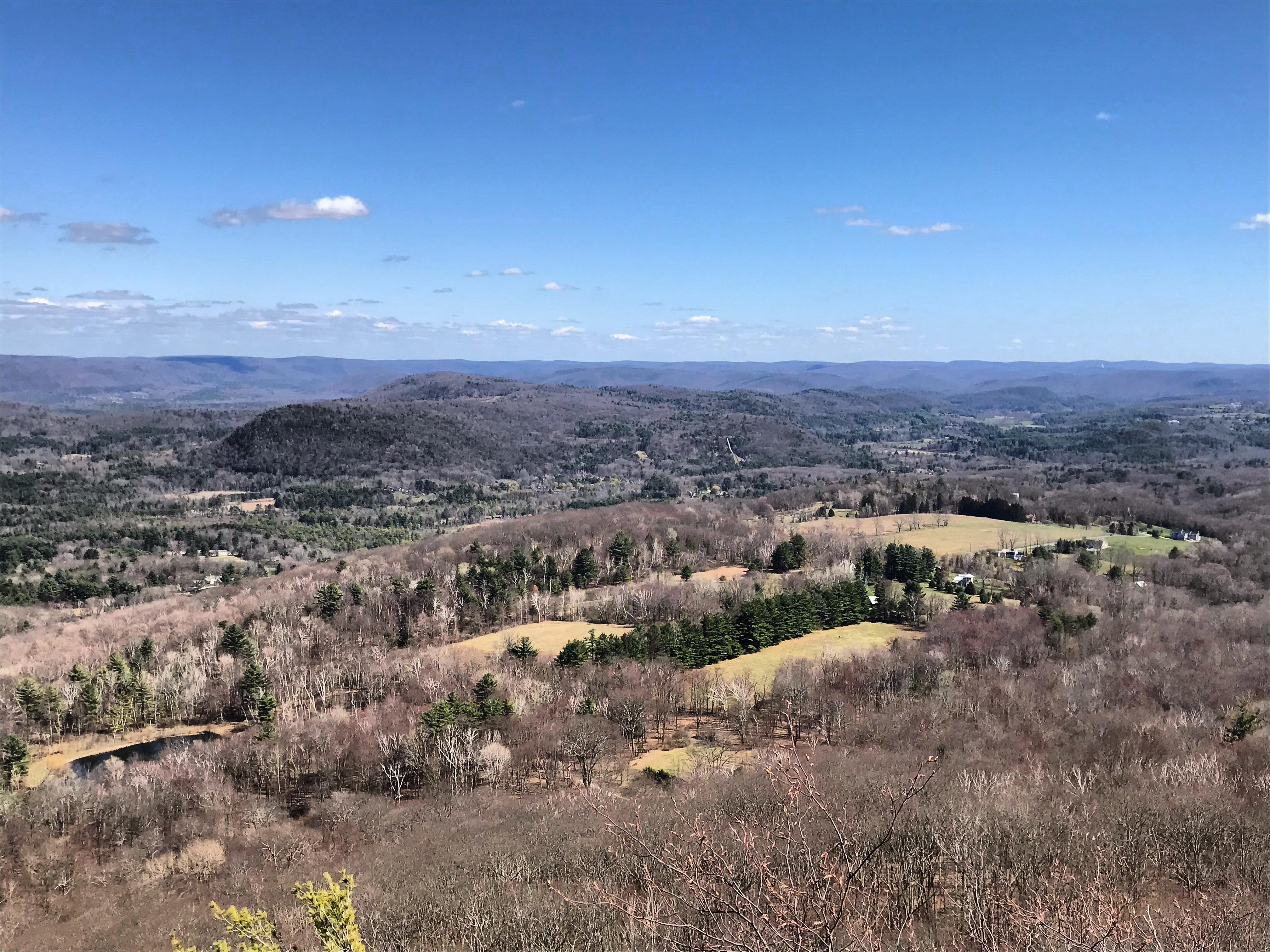 Salisbury from lion's head